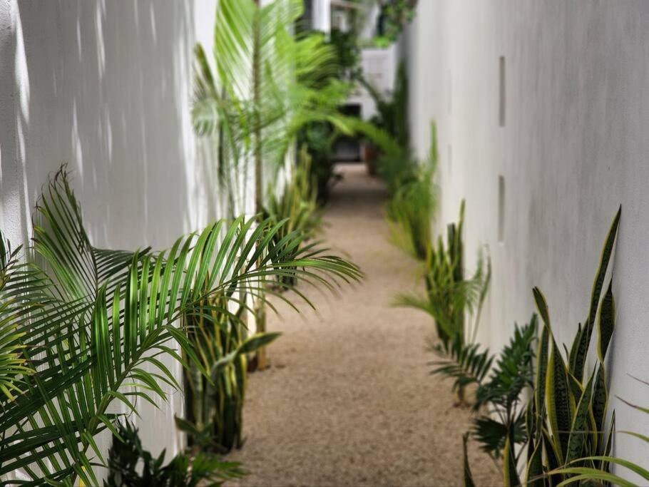 Amazing Jungle Retreat Lahkah Tulum Apartment Exterior photo