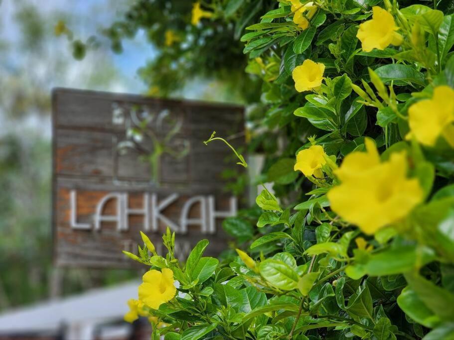 Amazing Jungle Retreat Lahkah Tulum Apartment Exterior photo