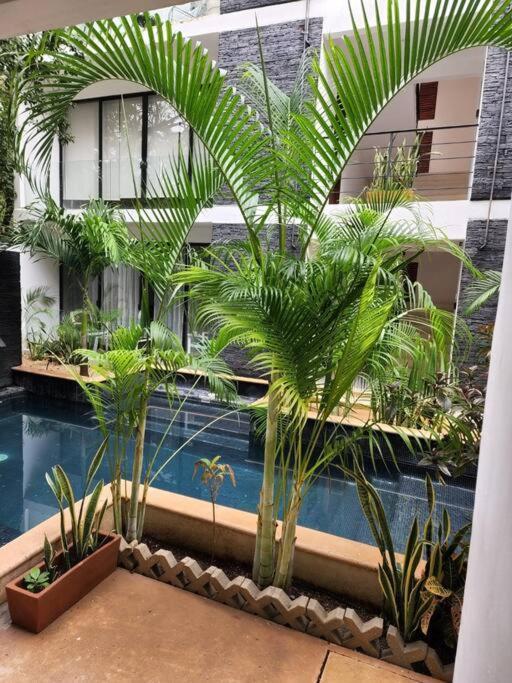 Amazing Jungle Retreat Lahkah Tulum Apartment Exterior photo