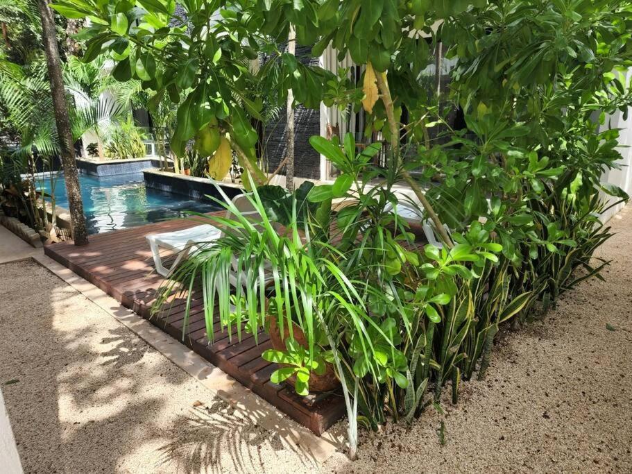 Amazing Jungle Retreat Lahkah Tulum Apartment Exterior photo